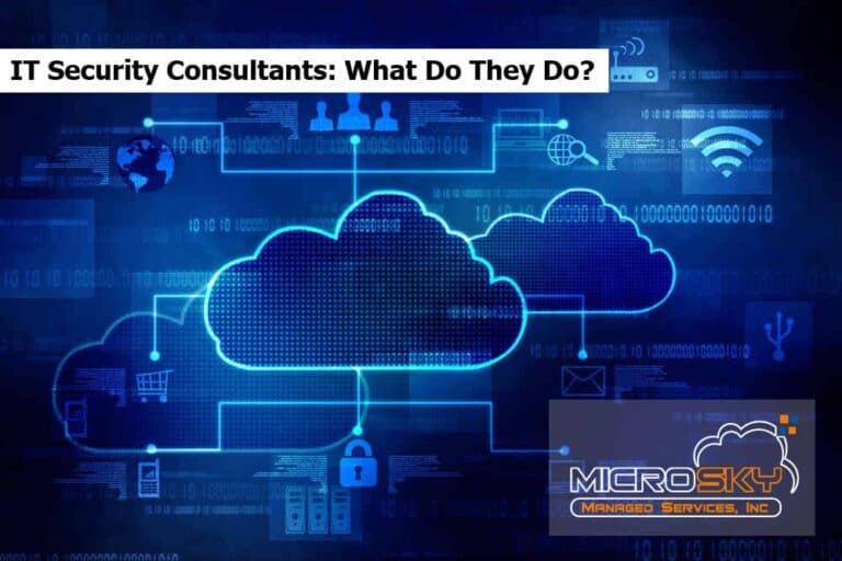IT Security Consultants: What Do They Do?